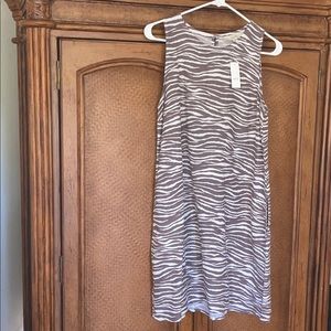 Loft Shift Dress NWT